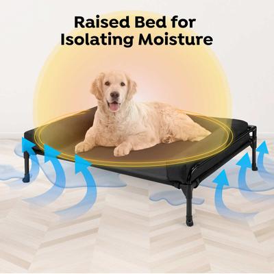 Show full view: Veehoo Three-Sided Bolster Elevated Dog Bed, Black, Large slide 5 of 9