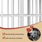 Show in main carousel: LovMor Foldable Pre-Assembled Crate Dog Kennel, White, 48-in slide 6 of 7