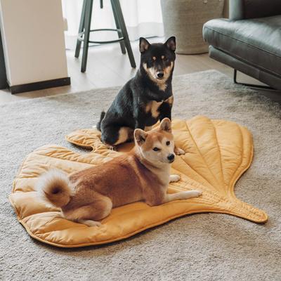 Show full view: FunnyFuzzy Leaf Shape 3-in-1 Dog Blanket, Ginkgo Yellow slide 8 of 9