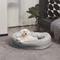 Show in main carousel: FunnyFuzzy Orthopedic Donut Dog Bed, Gray, Medium slide 2 of 4