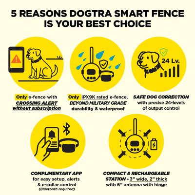 Show full view: Dogtra Smart Fence Wireless App Alarm System Rechargeable Portable Virtual Containment Collar, Black slide 5 of 9