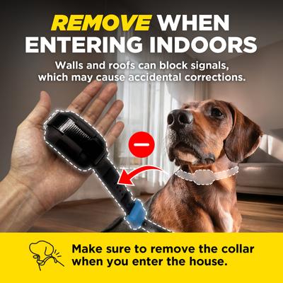 Show full view: Dogtra Smart Fence Additional Receiver Collar, Orange slide 4 of 6