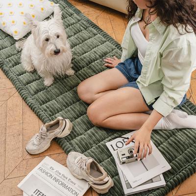 Show full view: FunnyFuzzy Soft Flannel Breathable Pet Mat Furniture Cover, Dark Green, 27.6 x 59.1-in slide 3 of 5