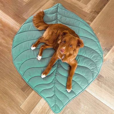 Show full view: FunnyFuzzy Leaf Shape 3-in-1 Dog Blanket, Elm Green slide 2 of 3