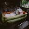 Show in main carousel: FunnyFuzzy Urban Voyager Car Booster Seat Travel Dog Bed, Orange Green, Jumbo slide 3 of 5