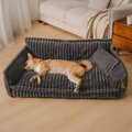 FunnyFuzzy Fluffy Orthopedic Dog Sofa Bed, Dark Gray, XX-Large