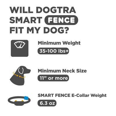 Show full view: Dogtra Smart Fence Additional Receiver Collar, Orange slide 2 of 6