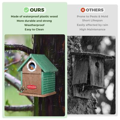 Show full view: Kingsyard Weatherproof Bluebird House, Green slide 7 of 8