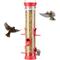 Show in main carousel: Kingsyard 6 Ports Tube Wild Bird Feeder, Red slide 1 of 9