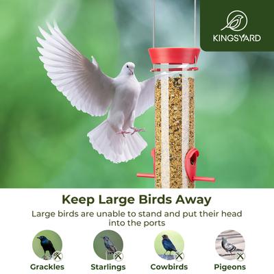 Show full view: Kingsyard 6 Ports Tube Hanging Wild Bird Feeder for Outdoors Hanging, Red, 2 count slide 5 of 9