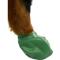 Show in main carousel: Pawz Waterproof Dog Boots, 12 count, Green, X-Large slide 6 of 13