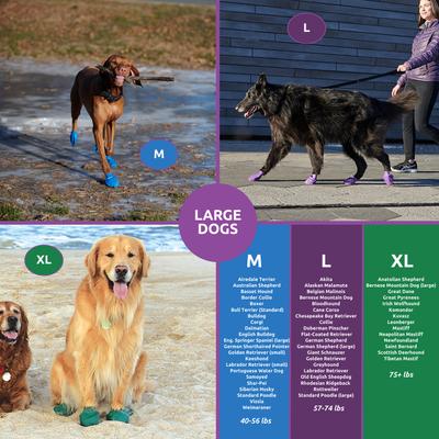 Show full view: Pawz Waterproof Dog Boots, 12 count, Purple, Large slide 4 of 13