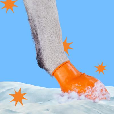 Show full view: Pawz Waterproof Dog Boots, 12 count, Blue, Medium slide 3 of 12