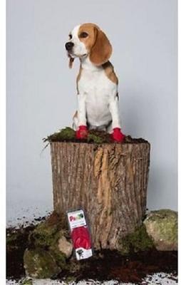 Show full view: Pawz Waterproof Dog Boots, 12 count, Red, Small slide 10 of 13