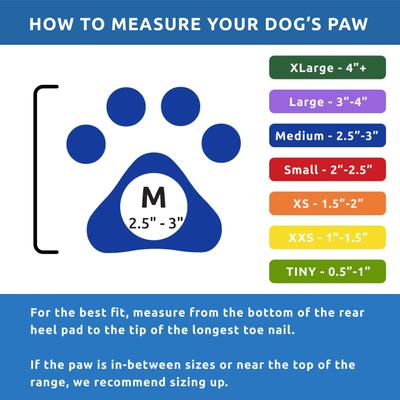 Show full view: Pawz Waterproof Dog Boots, 12 count, Blue, Medium slide 2 of 12