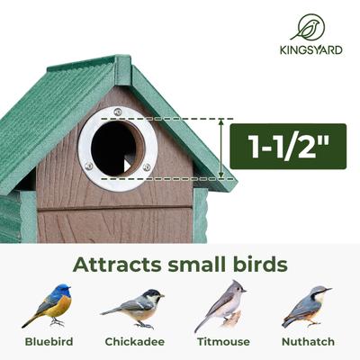 Show full view: Kingsyard Weatherproof Bluebird House, Green slide 3 of 8