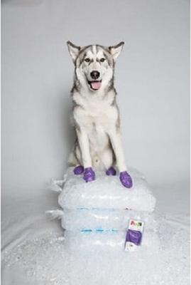 Show full view: Pawz Waterproof Dog Boots, 12 count, Purple, Large slide 9 of 13