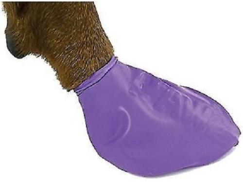 Show full view: Pawz Waterproof Dog Boots, 12 count, Purple, Large slide 6 of 13