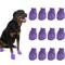 Show in main carousel: Pawz Waterproof Dog Boots, 12 count, Purple, Large slide 1 of 13