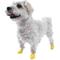 Show in main carousel: Pawz Waterproof Dog Boots, 12 count, Yellow, XX-Small slide 5 of 12