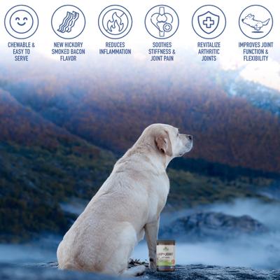 Show full view: Strawfield Pets Hip + Joint Chews Grain-Free Dog Supplement, 120 count slide 8 of 11