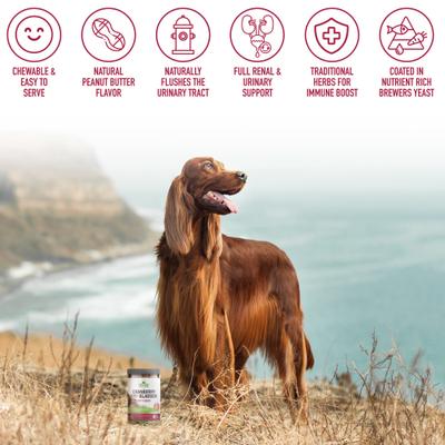 Show full view: Strawfield Pets Cranberry + UTI Bladder Chews Grain-Free Dog Supplement, 120 count slide 8 of 11