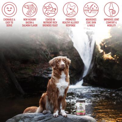 Show full view: Strawfield Pets Wild Alaskan Salmon Chews Grain-Free Dog Supplement, 120 count slide 8 of 11