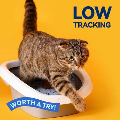 Show full view: Opet Mixed Tofu Milk Dust-Free Cat Litter, 13 x 13 x 6.5-in slide 7 of 9