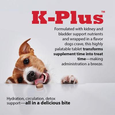Show full view: K-Plus Potassium Citrate Plus Supports Bladder Health Cranberry Chewable Tablets for Dogs, 100 count slide 10 of 11
