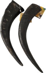 Advance Pet Product 17 to 20-in Water Buffalo Horn Jumbo Bulk Hard Chew Treats