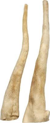 Show full view: Advance Pet Product Water Buffalo Tail Natural Natural Dog Chews, Large slide 3 of 3