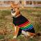 Show in main carousel: Up Country Rainbones Stripes Dog Sweater, Multicolor, Small slide 2 of 4