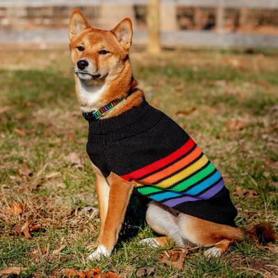 Show full view: Up Country Rainbones Stripes Dog Sweater, Multicolor, Small slide 2 of 4