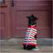 Show in main carousel: Up Country Holiday Stripe Dog Christmas Dog Sweater, Multicolor, X-Large slide 2 of 4
