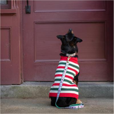 Show full view: Up Country Holiday Stripe Dog Christmas Dog Sweater, Multicolor, X-Large slide 2 of 4
