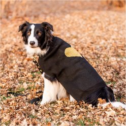 Up Country Valentine's Day Hearts of Gold Dog Sweater, Multicolor, Medium slide 2 of 4