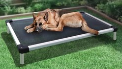 FXW TitaNest Cooling Chew-Proof Elevated Dog Bed, Black, Large: 47-in
