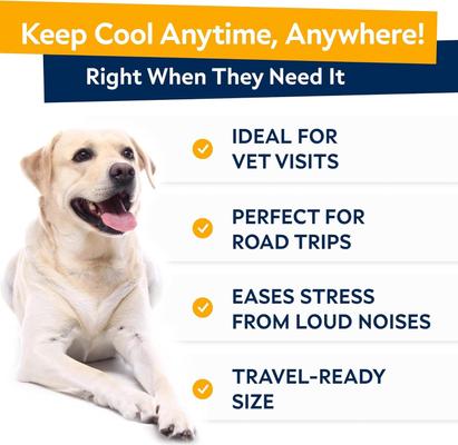 Show full view: StrellaLab Hemp Bacon Flavored Soft Chew Calming Suppement for Dogs, 60 count slide 3 of 8