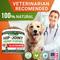 Show in main carousel: StrellaLab Hemp + Glucosamine Bacon Flavored Soft Chew Hip & Joint Supplement for Dogs, 120 count slide 10 of 10