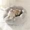 Show in main carousel: Gapzer Flower-Shaped Indoor Cozy Plush Lounger Bolster Cat Bed, Grey, 21.6 x 21.6 x 6.3-in slide 6 of 9