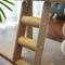 Show in main carousel: Fairela Multi-Level Cat Climbing Tower with Natural Sisal Scratching Posts, Cooling Lounger Bed & Rope Ladder, Beige, 23 x 15.5 x 18.5-in slide 6 of 11