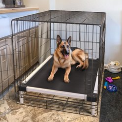 FXW TitanNest Cooling Chew-Proof Elevated Dog Bed, Black, Large: 47-in
