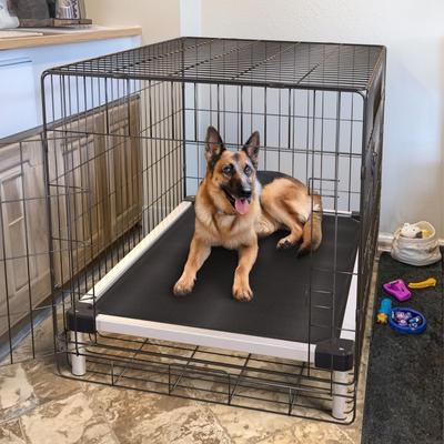 fxw TitanNest エレベーテッドドッグベッド ブラック FXW TitanNest Cooling Chew-Proof Elevated Dog Bed, Black, Large
