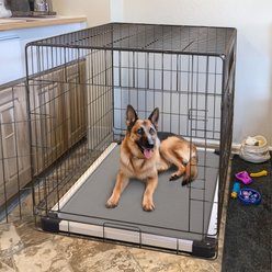FXW TitanNest Padded Chew-Proof Elevated Dog Bed, Grey, Large: 47-in