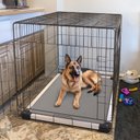 FXW TitanNest Padded Chew-Proof Elevated Dog Bed, Grey, Large: 47-in