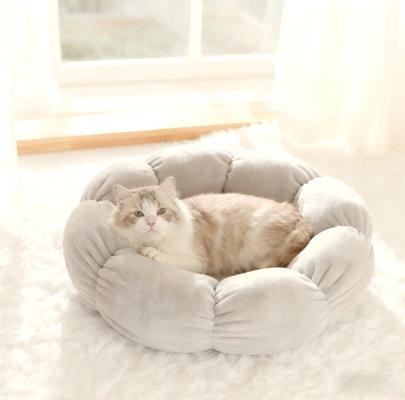 Show full view: Gapzer Flower-Shaped Indoor Cozy Plush Lounger Bolster Cat Bed, Grey, 21.6 x 21.6 x 6.3-in slide 8 of 9