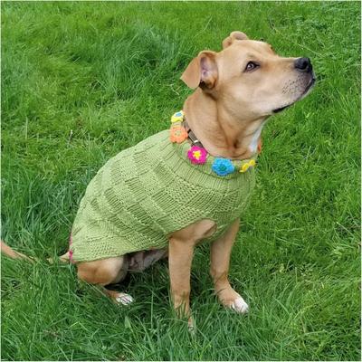 Show full view: Up Country Floral Basket Dog Sweater, Green, Large slide 2 of 4