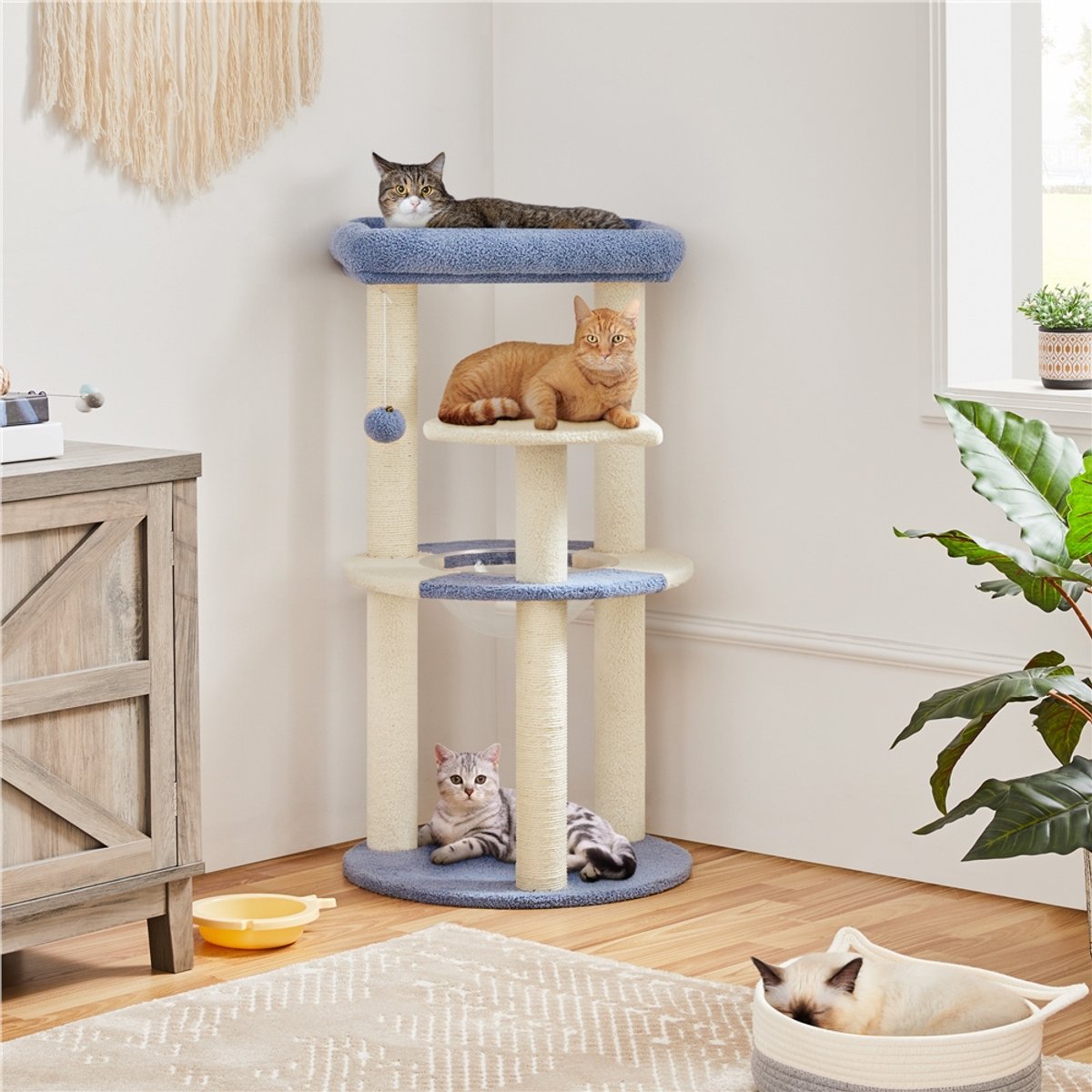 Yaheetech 35.5-in Cat Tree with Space Capsule & Two Scratching Post for Kittens, Blue & Beige