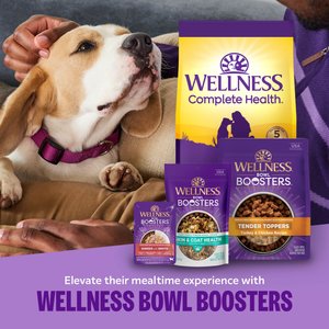 Wellness CORE Bowl Boosters Bare Turkey Freeze-Dried Dog Food Mixer or Topper, 4-oz bag