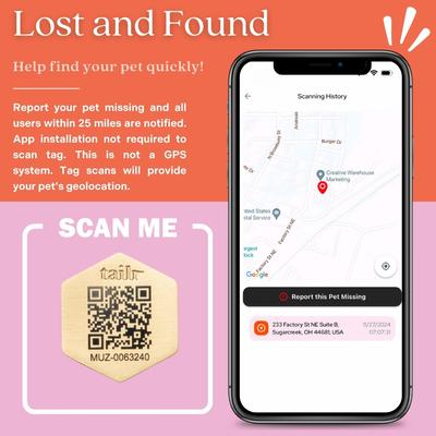 Show full view: Tailr Classic QR Code Hanging Digital Pet Profile Personalized Dog & Cat ID Tag, Gold, Small slide 5 of 10